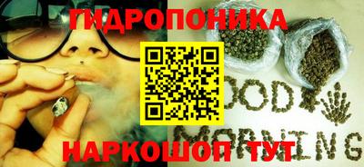 молекула духа Бузулук
